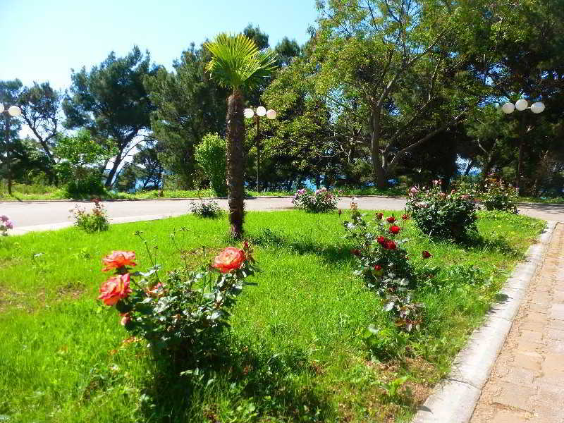 Corpus B - Hotel Albatros Ulcinj Exterior photo